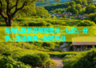 海角社区的温馨聚集地：社交、分享、生活服务一站式平台