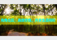 海角社区：连接你我，共享生活精彩