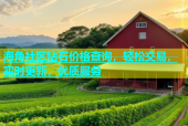 海角社区钻石价格查询，轻松交易，实时更新，优质服务