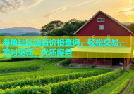 海角社区钻石价格查询，轻松交易，实时更新，优质服务