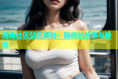 海角社区禁区探秘：隐藏的故事与秘密