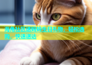 海角社区送妈妈生日礼物，轻松选购、快速送达