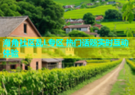 海角社区乱L专区 热门话题实时互动体验