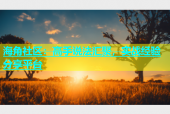 海角社区：高手说法汇聚，实战经验分享平台