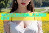海角社区钻石免费观看，尽享无限精彩内容