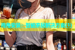 海角安装：智能家居解决方案(1)
