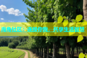 海角社区：连接你我，共享生活智慧