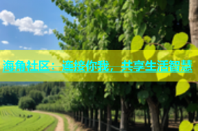海角社区：连接你我，共享生活智慧