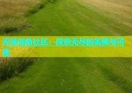 天涯海角社区：探索无尽的美丽与可能