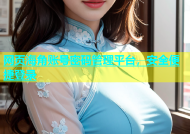 网页海角账号密码管理平台，安全便捷登录