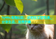 hj46c海角社区：您的社交聚集地，分享生活，发现新趣