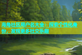 海角社区用户名大全：探索个性化身份，发现更多社交乐趣
