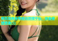 网页海角账号密码管理平台，安全便捷登录(1)