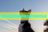 海角社区婷婷的温暖故事与美好生活