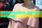 揭秘卖海角社区的秘密：探索平台的合法性与功能
