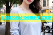 海角社区的侦探传奇老王探案记