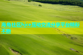 海角社区hjce互动交流分享平台精彩不断
