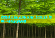 海角社区钻石获取攻略：快速提升等级，轻松获得奖励