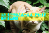 海角社区登录方式全解析，轻松注册畅享社交乐趣