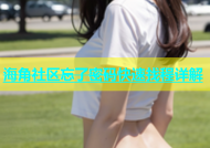 海角社区忘了密码快速找程详解