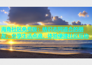 海角社区免费版：结识志同道合的朋友，分享生活点滴，体验便捷社区互动