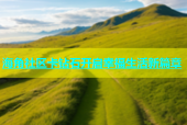 海角社区卡钻石开启幸福生活新篇章
