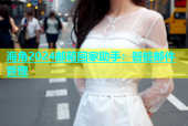 海角2024邮箱回家助手：智能邮件管理