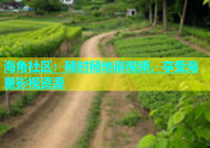 海角社区：随时随地刷视频，享受海量影视资源