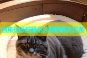 海角社区邮箱永久登录解决方案