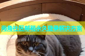 海角社区邮箱永久登录解决方案
