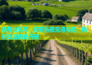 海角社区吧：你的私密交流岛屿，精彩生活由此开启