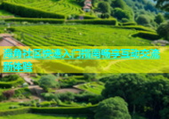 海角社区快速入门指南畅享互动交流新体验