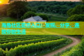 海角社区官方入口：发现、分享、连接你的生活