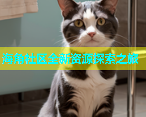 海角社区全新资源探索之旅  第1张