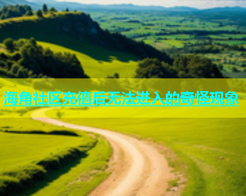 海角社区充值后无法进入的奇怪现象  第1张
