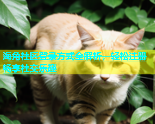 海角社区登录方式全解析，轻松注册畅享社交乐趣  第1张