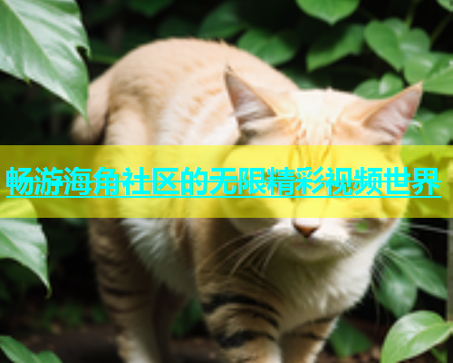 畅游海角社区的无限精彩视频世界  第1张
