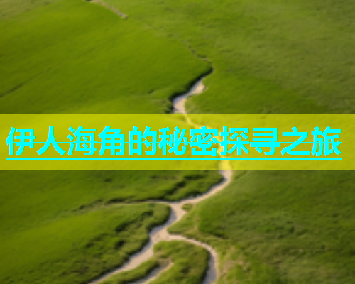 伊人海角的秘密探寻之旅  第1张