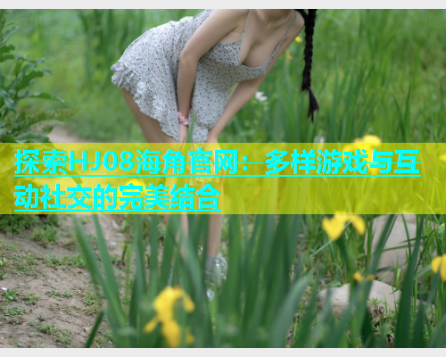 探索HJ08海角官网：多样游戏与互动社交的完美结合  第1张