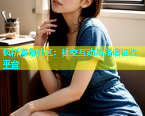 枫桥海角社区：社交互动与和谐征收平台  第1张