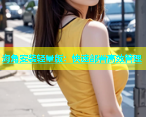 海角安装轻量版：快速部署高效管理  第1张