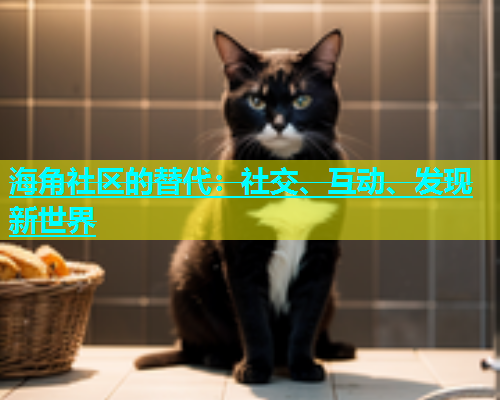 海角社区的替代：社交、互动、发现新世界  第1张