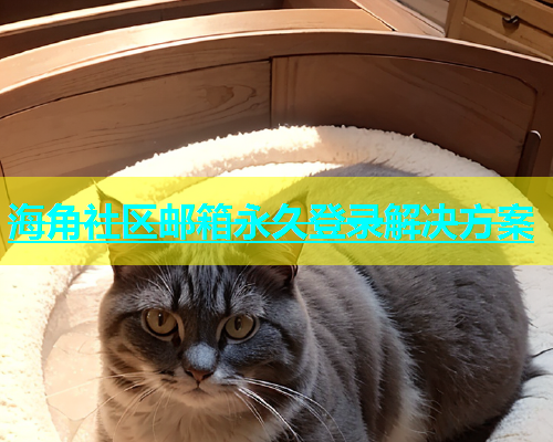 海角社区邮箱永久登录解决方案  第1张