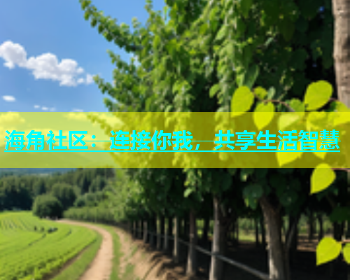 海角社区：连接你我，共享生活智慧  第1张