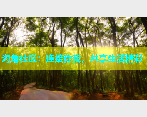 海角社区：连接你我，共享生活精彩  第1张
