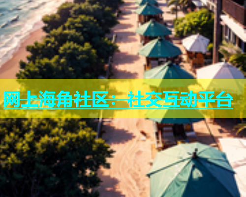 网上海角社区：社交互动平台  第1张