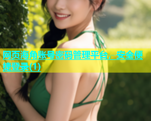 网页海角账号密码管理平台，安全便捷登录(1)  第1张